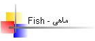 Fish - ماهی